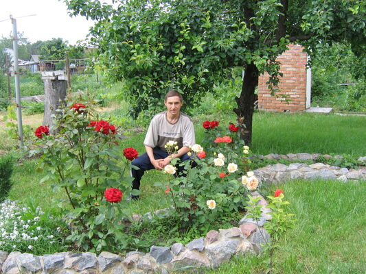  ,   , 52 ,  