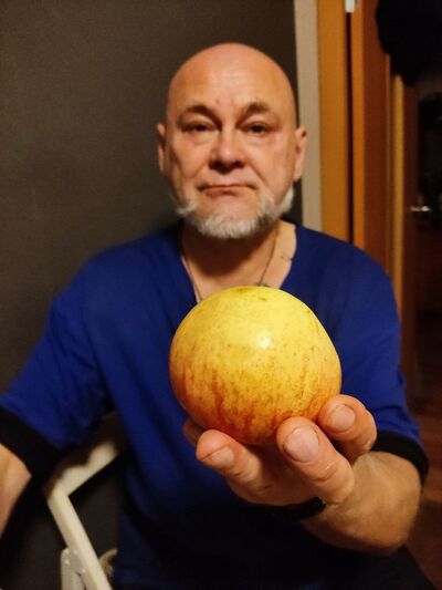  ,   ANDR, 65 ,   ,   