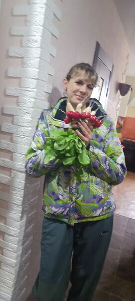  ,   , 41 ,     , c 