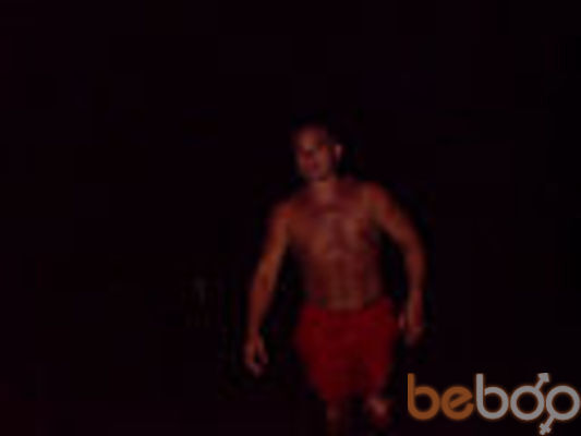  ,   Panda, 38 ,   