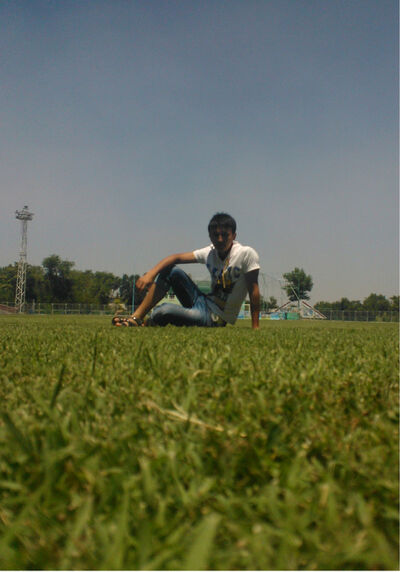  ,   Ali, 31 ,   ,   , c 