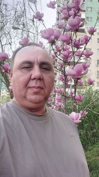  ,   , 49 ,   ,   