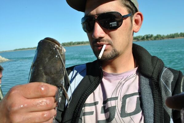  ,   Maksim, 38 ,   ,   , c 