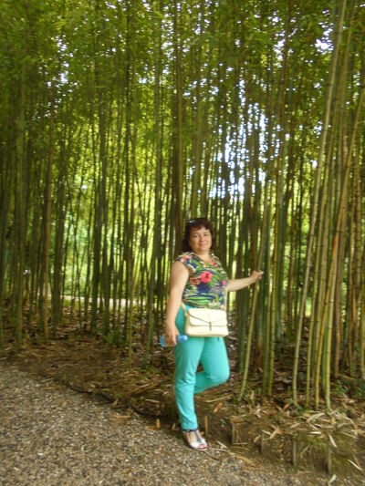  ,   , 52 ,   ,   , c 