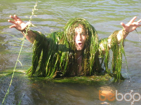 ���������� ������, ���� ������� ��������, 43 ����, ������������ ��� ������