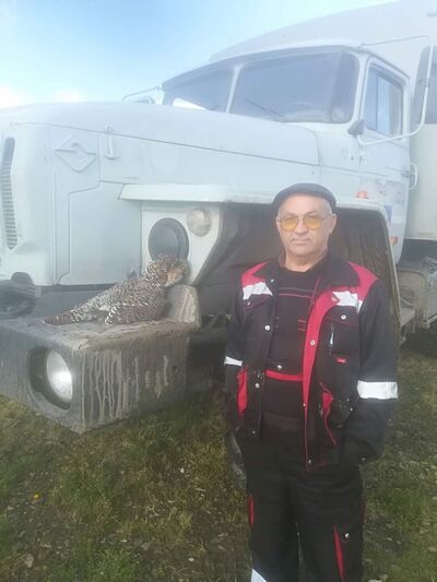  ,   , 60 ,   ,   