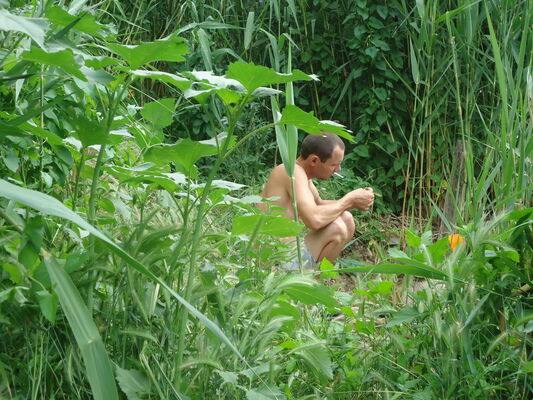  ,   , 41 ,   ,   , c 