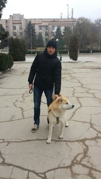  ,   Dima, 38 ,   ,   , c 