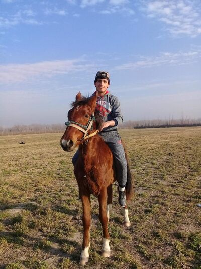  ,   SADAM, 30 ,   ,   , c 