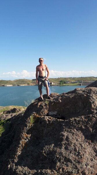  ,   Shark, 40 ,   