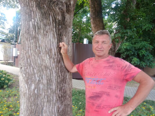  ,   , 58 ,   ,   
