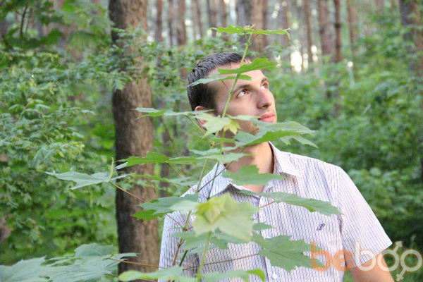 ���������� �������, ���� ������� ��������, 38 ���, ������������ ��� ����� � ���������, c�������� ���������