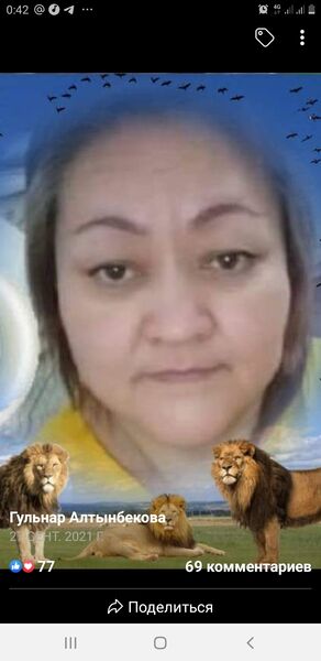  ,   , 53 ,   ,   