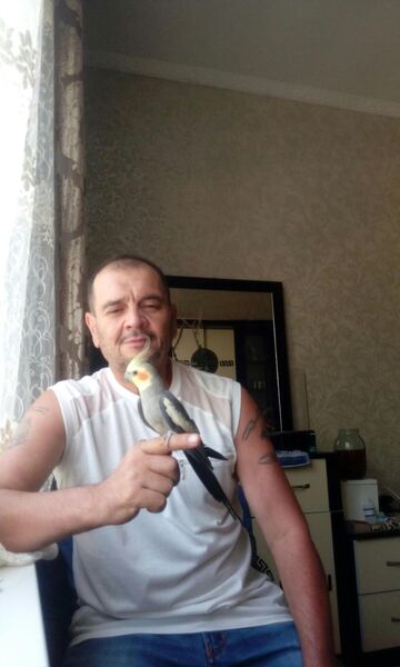  ,   , 57 ,     , c 