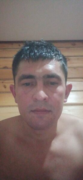  ,   , 41 ,   ,   , 