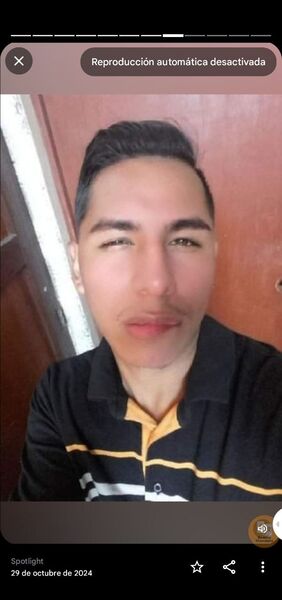  ,   Peruanozky, 33 ,   ,   