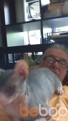  -,   Marshrutchik, 64 ,   ,   , c 
