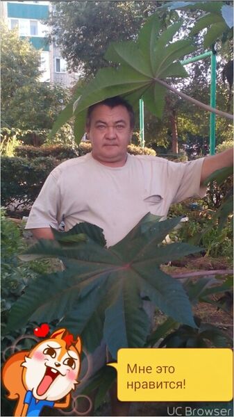  ,   , 58 ,   