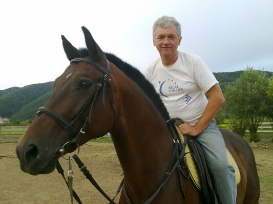  ,   Art Apple, 60 ,   