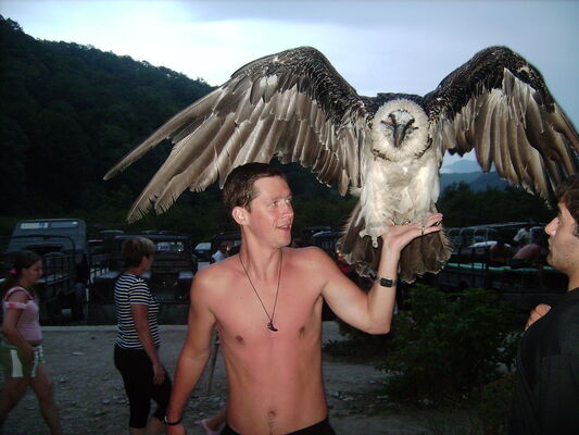  ,   , 42 ,   ,   , c 