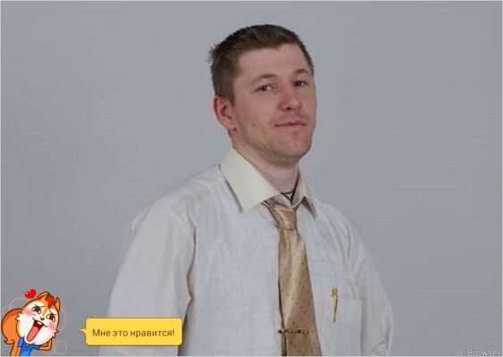  --,   , 38 ,   