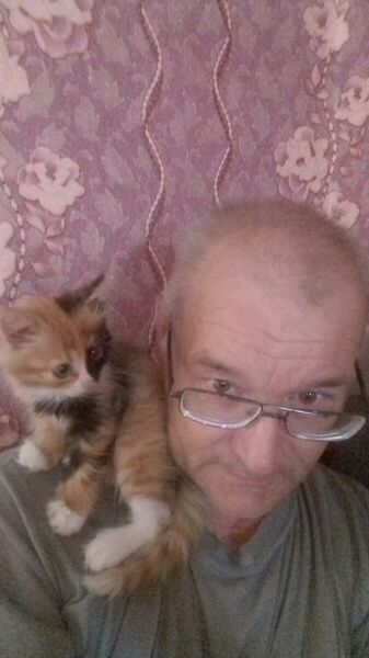  ,   , 61 ,   ,   , c , 