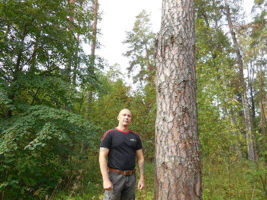  ,   , 55 ,     , c 