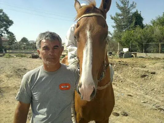  ,   , 52 ,     , c , 