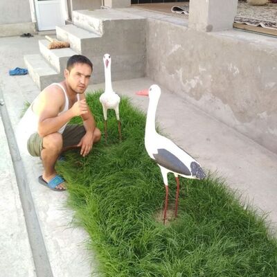  ,   , 32 ,   ,   