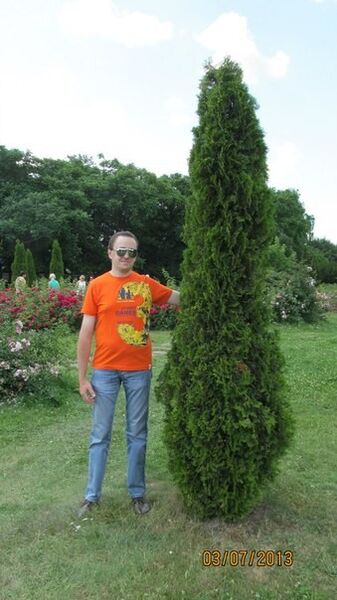  ,   , 39 ,     , c 