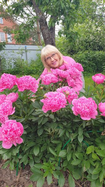  -,   , 65 ,   ,   , c 