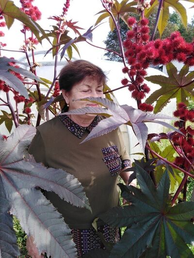  ,   , 74 ,   c , 