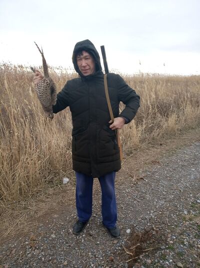  ,   Nekas, 37 ,   ,   , c 