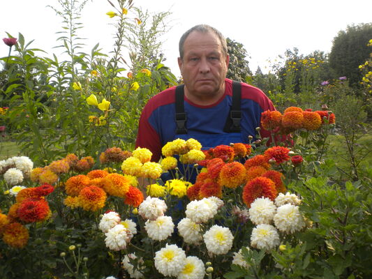  ,   , 72 ,   ,   , c 