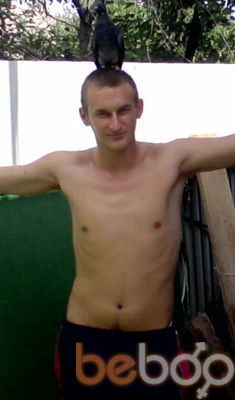  --,    , 31 ,   