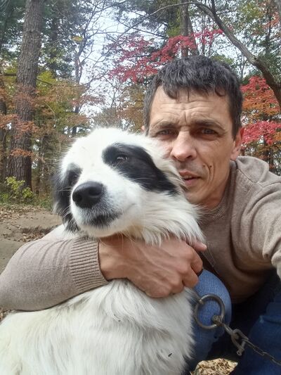  ,   , 42 ,   ,   