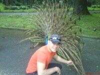  ,   , 43 ,   ,   , c 
