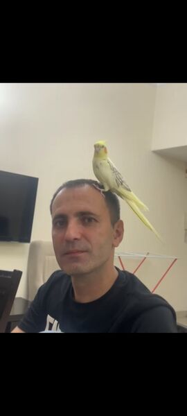  ,   Dmitry, 42 ,   ,   