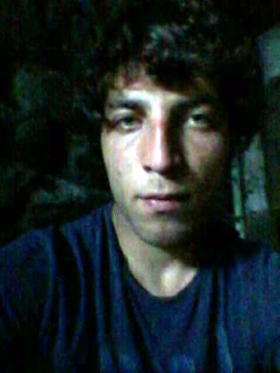  ,   Elsever, 31 ,   ,   , c , 