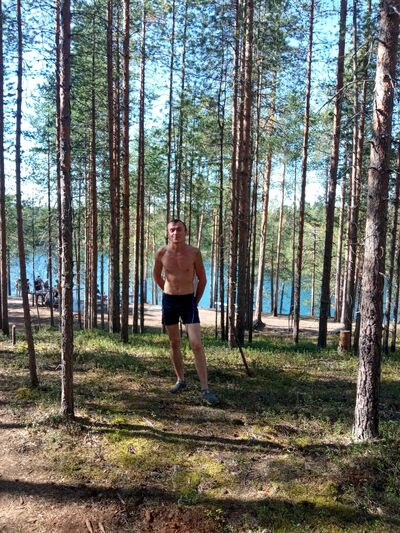  ,   Maxim, 44 ,   ,   