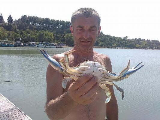  -,   Pavel, 51 ,   ,   , c 