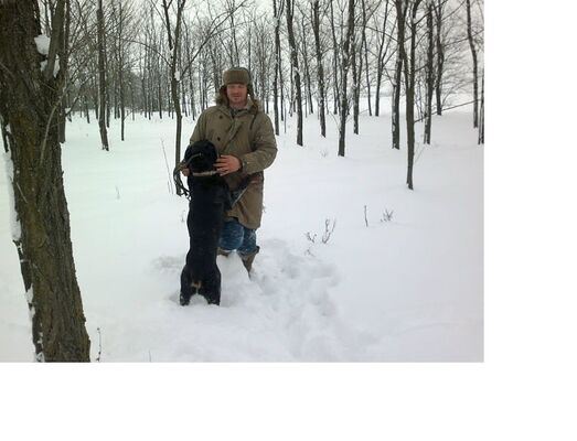  ,   HoddNelson, 58 ,   ,   , c 