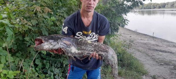  ,   Maks, 32 ,   ,   , c , 