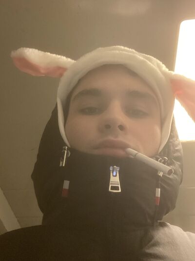  ,   , 19 ,   ,   