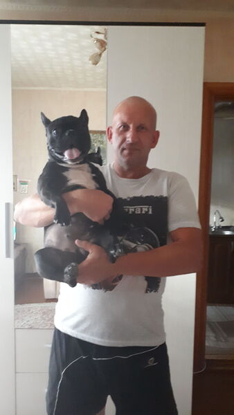  ,   , 53 ,   
