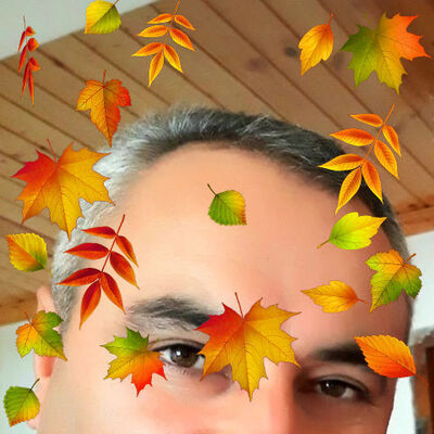  ,   , 47 ,     