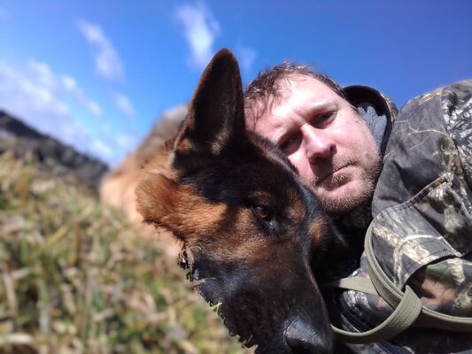  ,   , 41 ,     , c , 