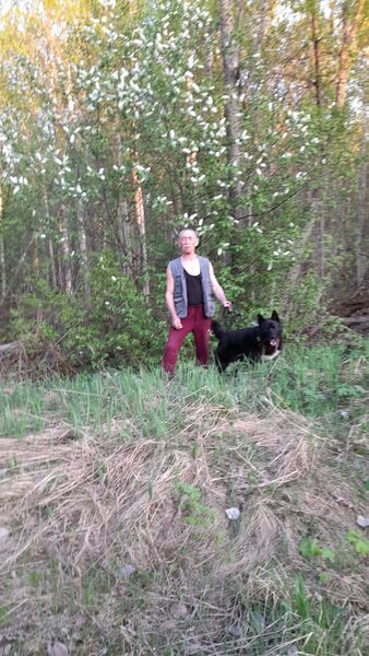  ,   , 71 ,   ,   , c 