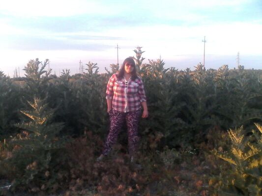  ,   , 34 ,   c 
