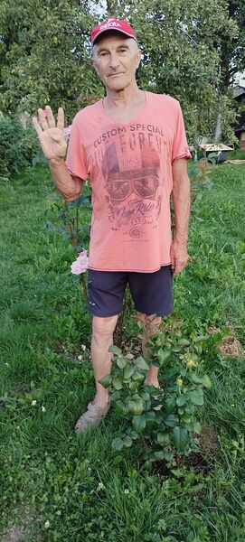  ,   Viktor, 67 ,     , c 